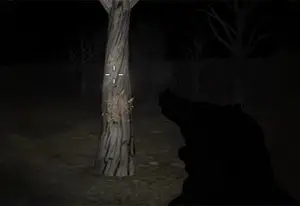 Granny Horror