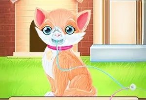Take Care Princess Kitten