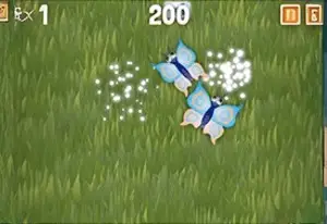 Butterfly Party