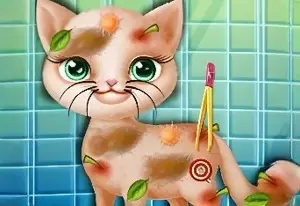 Игра Спасти Бездомную Кошку