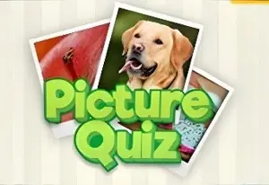 Picture Quiz