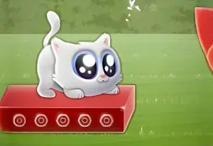 Игра Экстремальный Кот