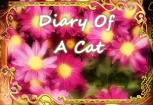Diary of A Cat