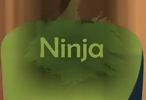 Ниндзя