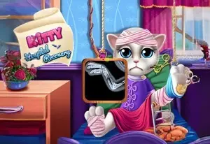 Kitty Hospital Recovery
