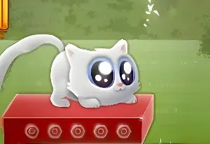 Игра Экстремальный Котенок