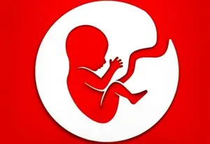 BitLife
