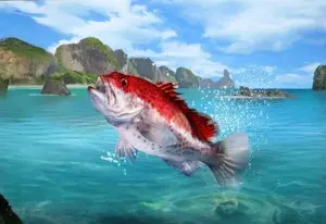 Go to Fishing