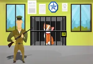 Спасение животных