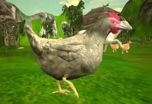 Игра Куриная Охота