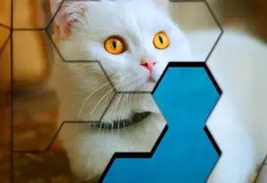 Пазл 2020