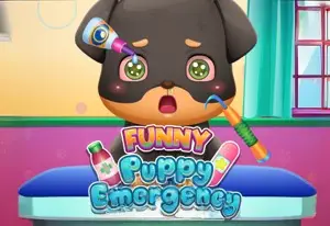 Игра Забавные Щенки Чрезвычайное Происшествие