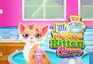 Игра Спасение Котенка Маленькой Принцессы