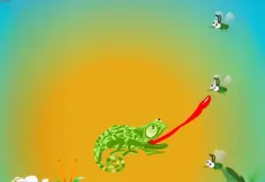 Chameleon Want Eat
