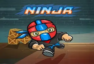 Ниндзя