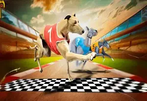 Игра Crazy Dog Racing 2020