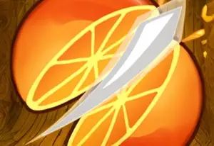 Fruit Slice