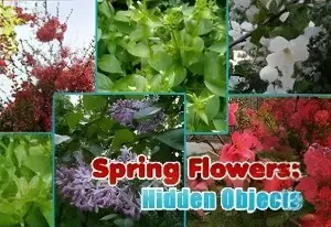Game Spring Flowers Hidden Objects