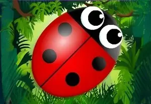 Bug Match