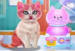 Игра Забота о Кошке