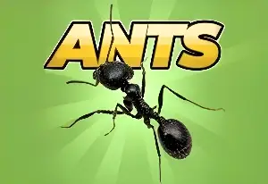 Игра Pocket Ants: Симулятор Колонии