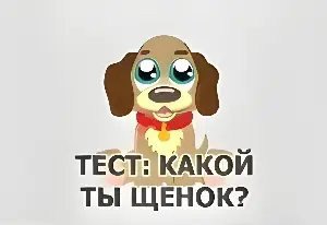 Игра Тест: Какой Ты Щенок?