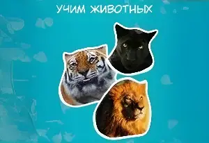 Игра Учим Животных: Для Малышей