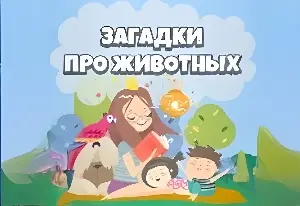 Игра Познавательные Задачки Про Животных