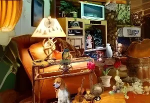 Game Hidden objects in the house