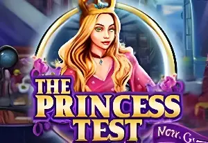 Игра Тест для принцессы
