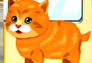 Cute Cat Contest Game