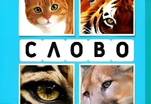 Игра 4 Фото и Слово