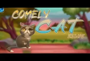 PG Comely Cat Escapee