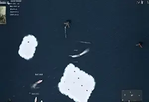 Боевая группировка 2