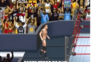 WWE SmackDown! Here Comes The Pain