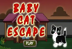 Игра Побег котенка онлайн
