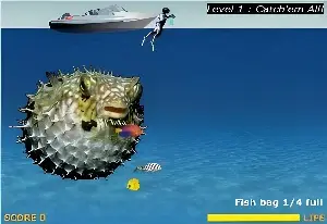 Snorkel!!