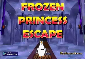 Игра Побег ледяной принцессы
