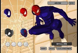 Spider-Man Costume