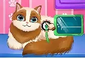 Игра Роды Милой Кошки