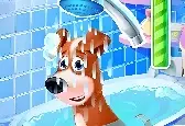 Игра Уход за Бездомным Щенком