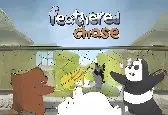 Мы обычные медведи Пернатая погоня