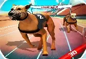 Лучшая игра про собачьи бега 2020