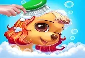 Уход за животными