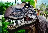 Игра Плотоядное животное Тираннозавр Рекс Головоломка онлайн