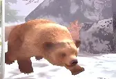 Игра Охота на Медведя