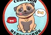 Игра Смешная прогулка с собакой