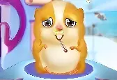 Игра Уход за Домашним Хомяком