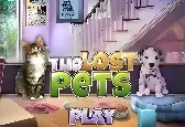 Игра Поиск предметов для питомцев