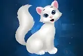 G4K Несчастный побег кота